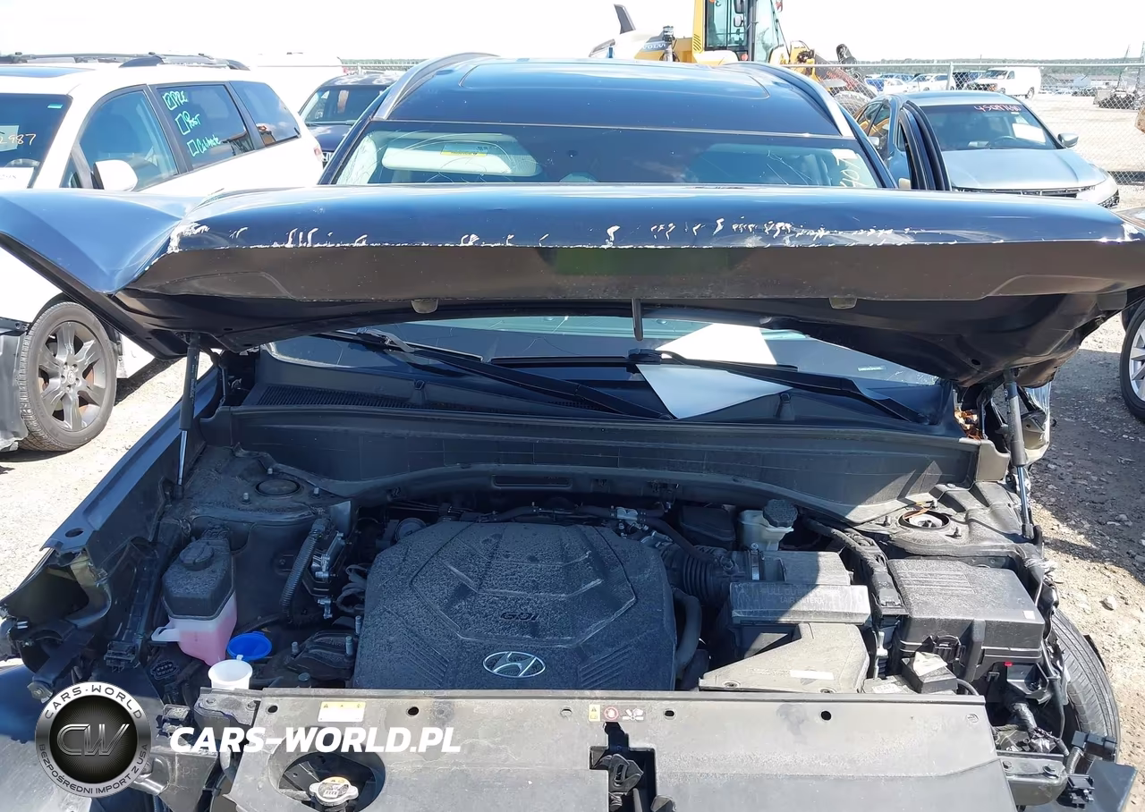 2024 Hyundai Palisade Limited VIN:KM8R54GE2RU673407 - 10