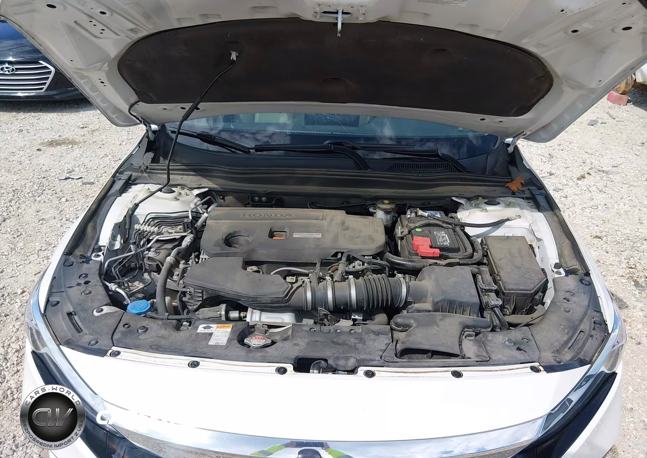 2019 Honda Accord Ex-L 2.0T VIN:1HGCV2F51KA013867 - 10