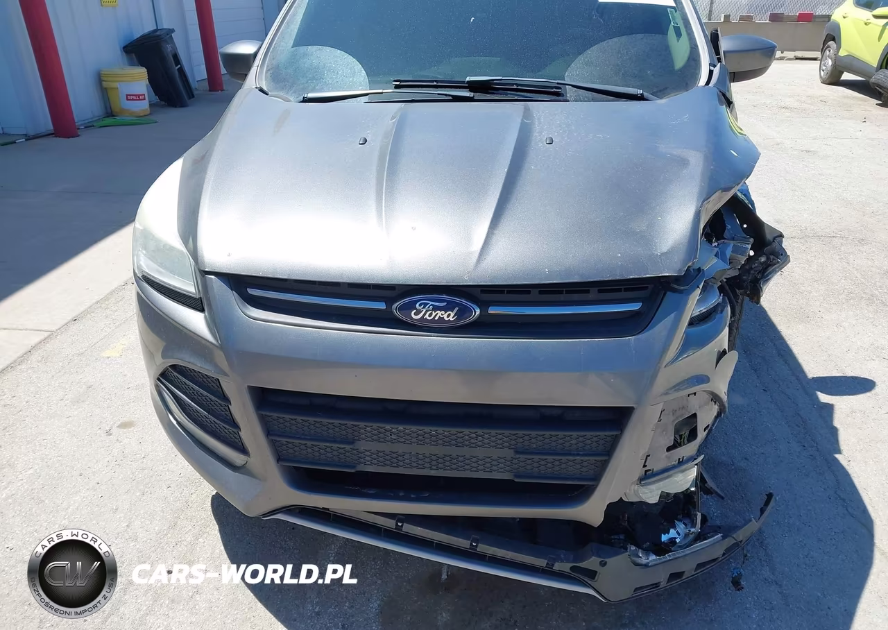 2014 Ford Escape Se VIN:1FMCU9G93EUD67447 - 12