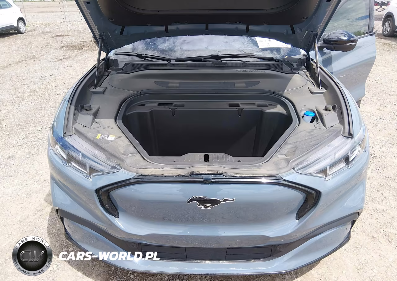 2024 Ford Mustang Mach-E Premium VIN:3FMTK3SU2RMA40661 - 10