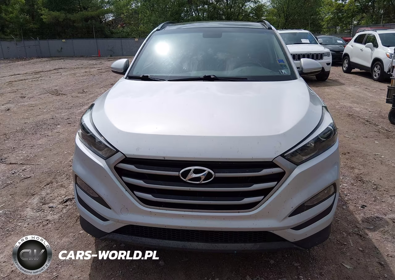 2017 Hyundai Tucson Value VIN:KM8J3CA21HU565208 - 12