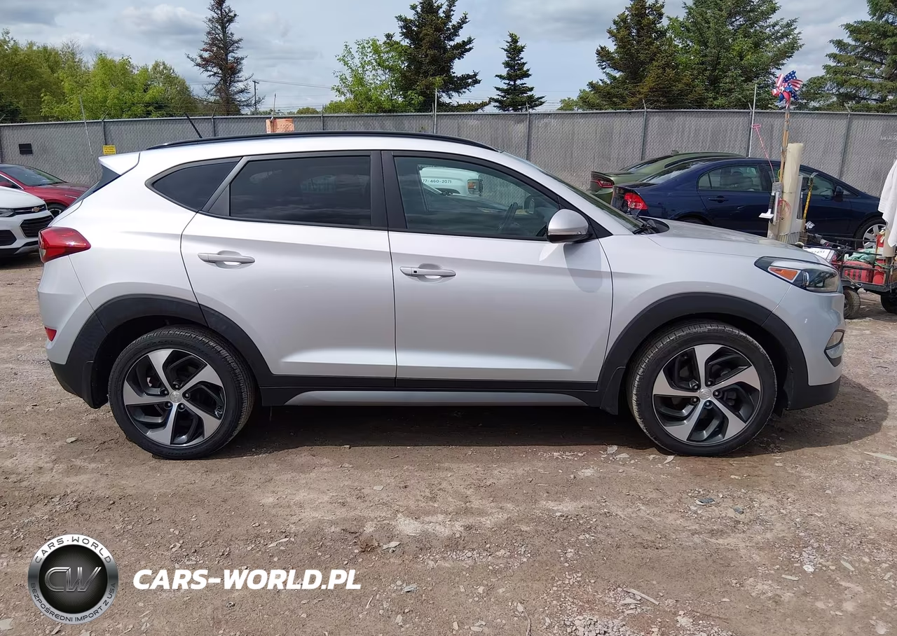 2017 Hyundai Tucson Value VIN:KM8J3CA21HU565208 - 13