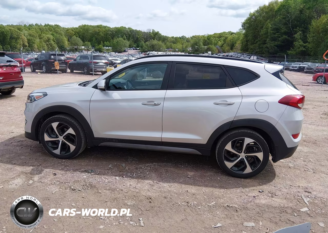 2017 Hyundai Tucson Value VIN:KM8J3CA21HU565208 - 14