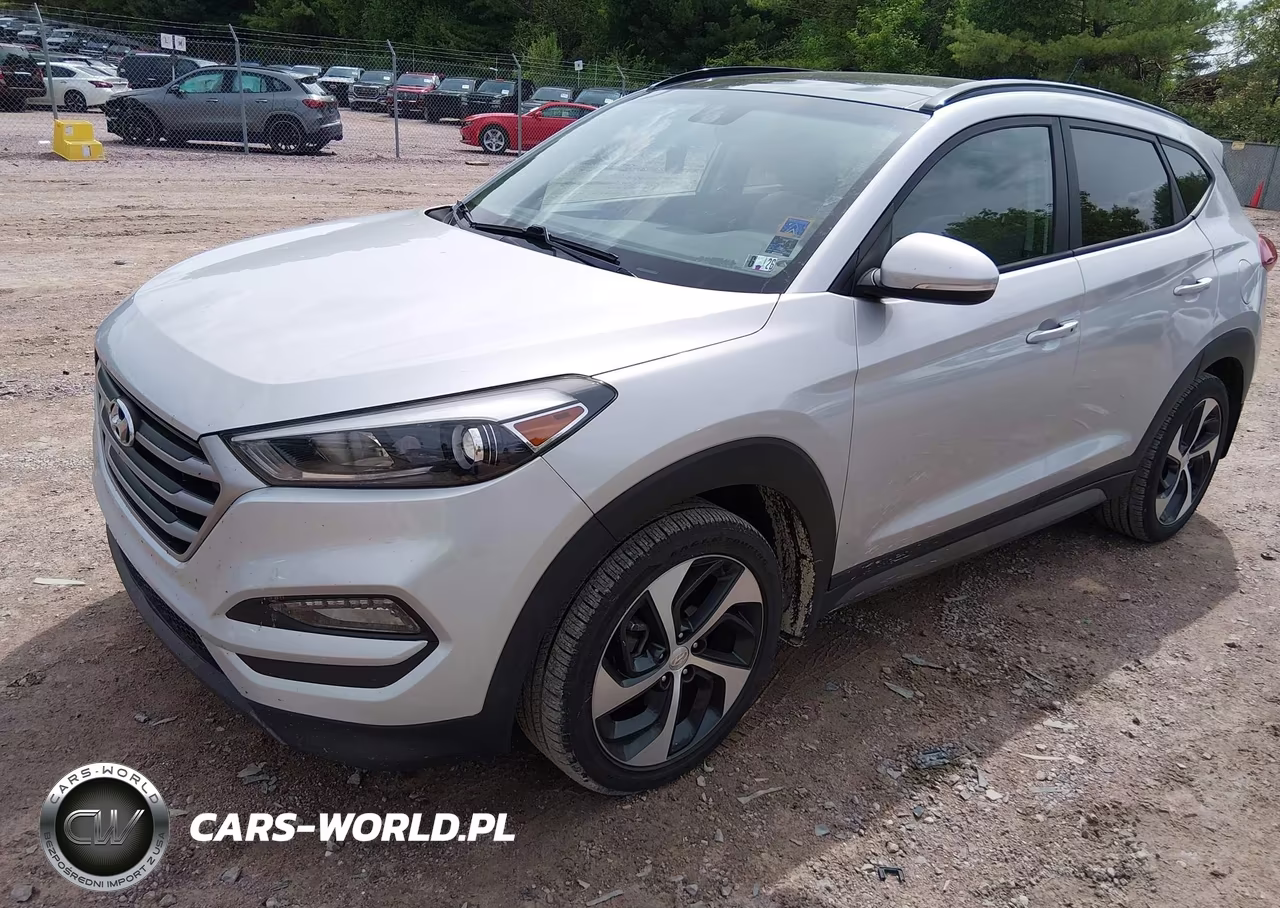 2017 Hyundai Tucson Value VIN:KM8J3CA21HU565208 - 2