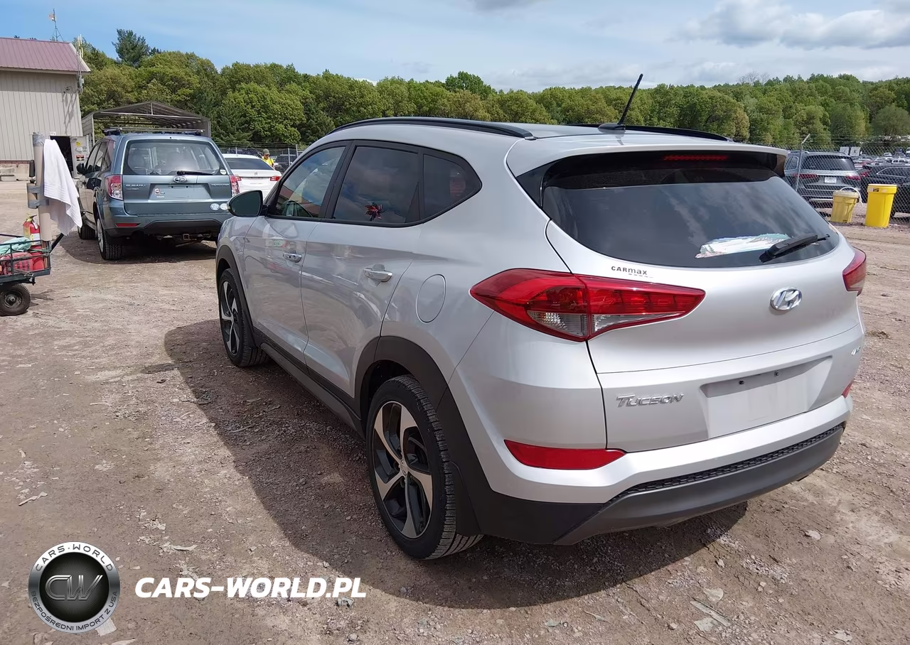 2017 Hyundai Tucson Value VIN:KM8J3CA21HU565208 - 3