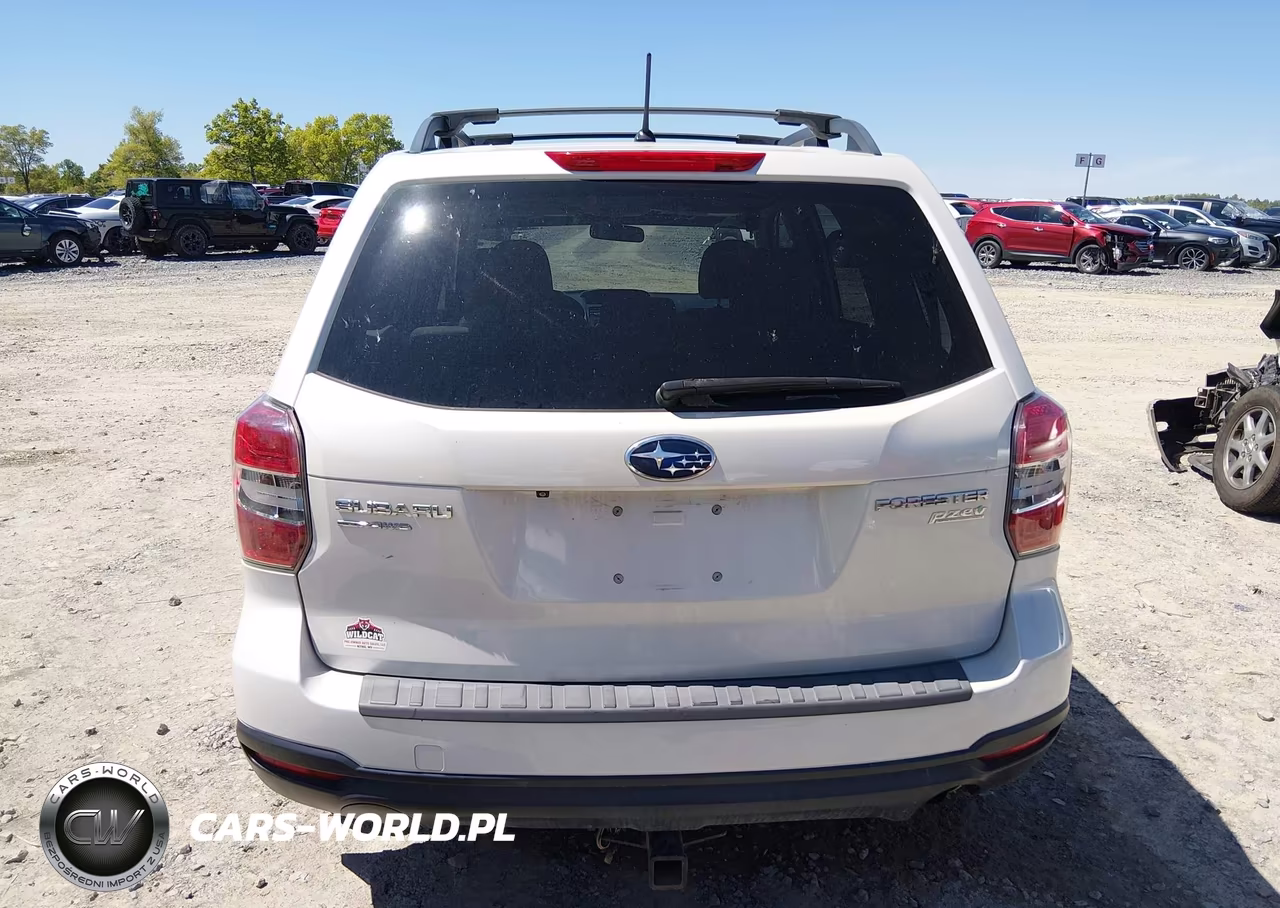 2014 Subaru Forester 2.5I Premium VIN:JF2SJAEC3EH485369 - 17