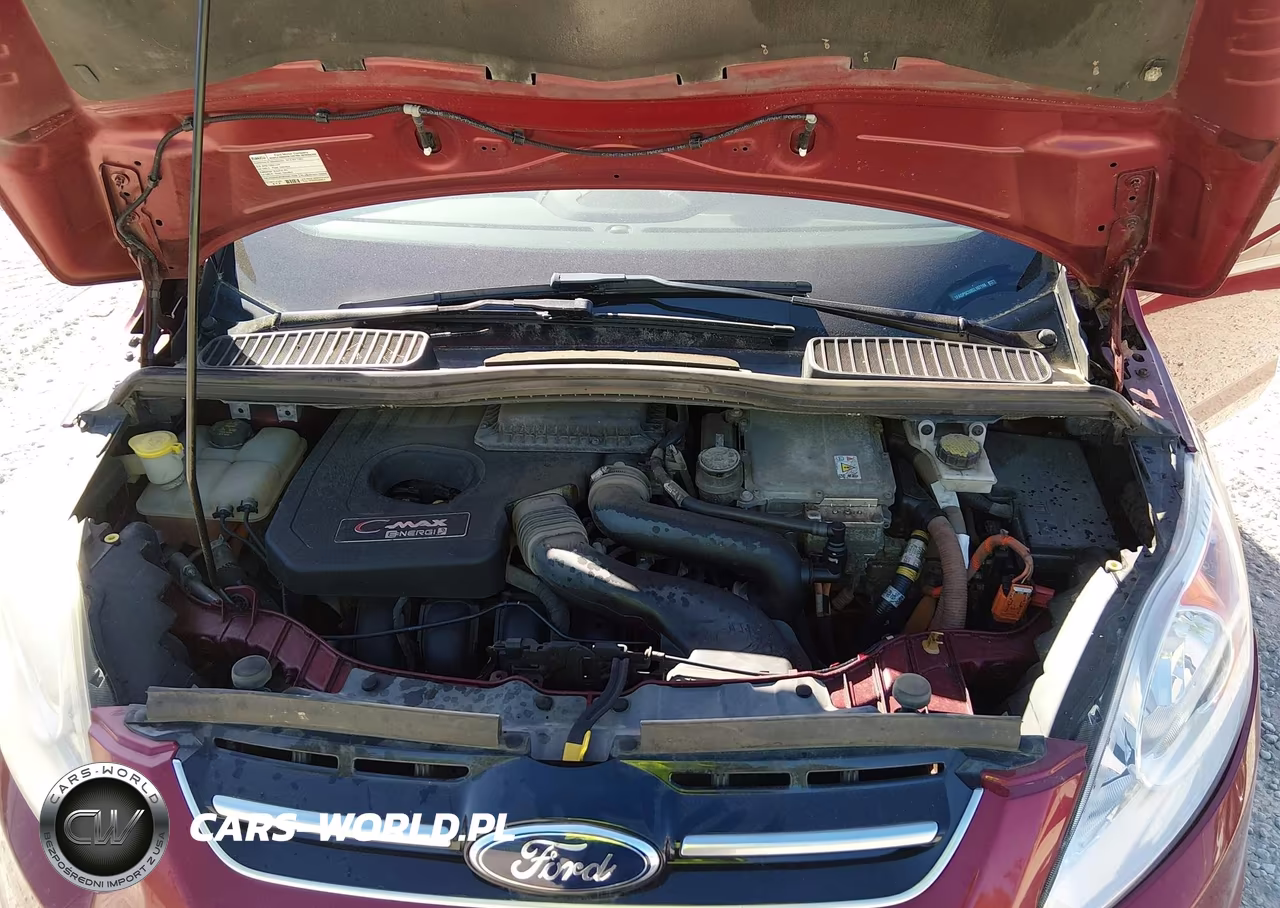 2016 Ford C-Max Energi Sel VIN:1FADP5CU0GL107198 - 10