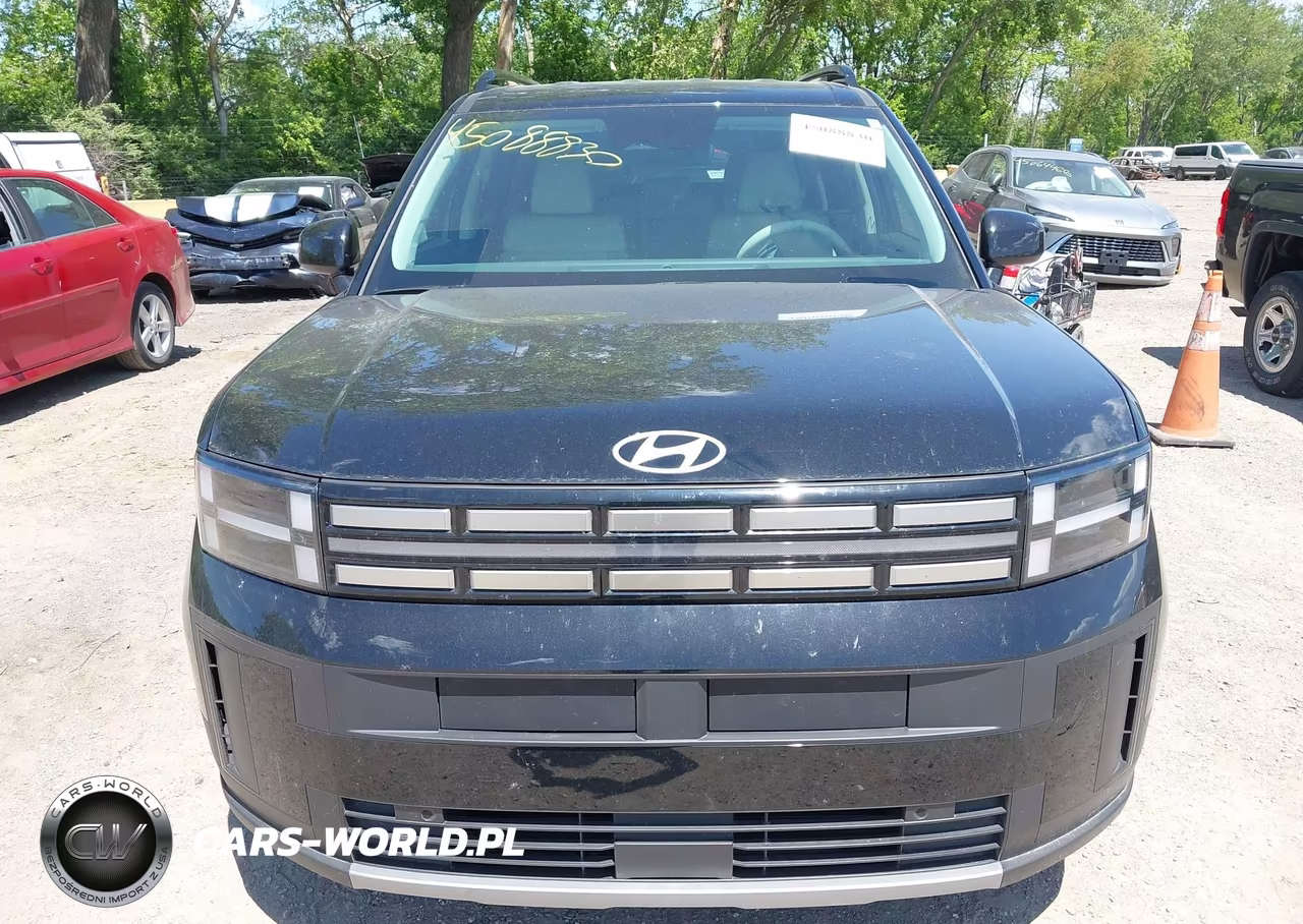 2024 Hyundai Santa Fe Sel VIN:5NMP2DGL7RH009095 - 13