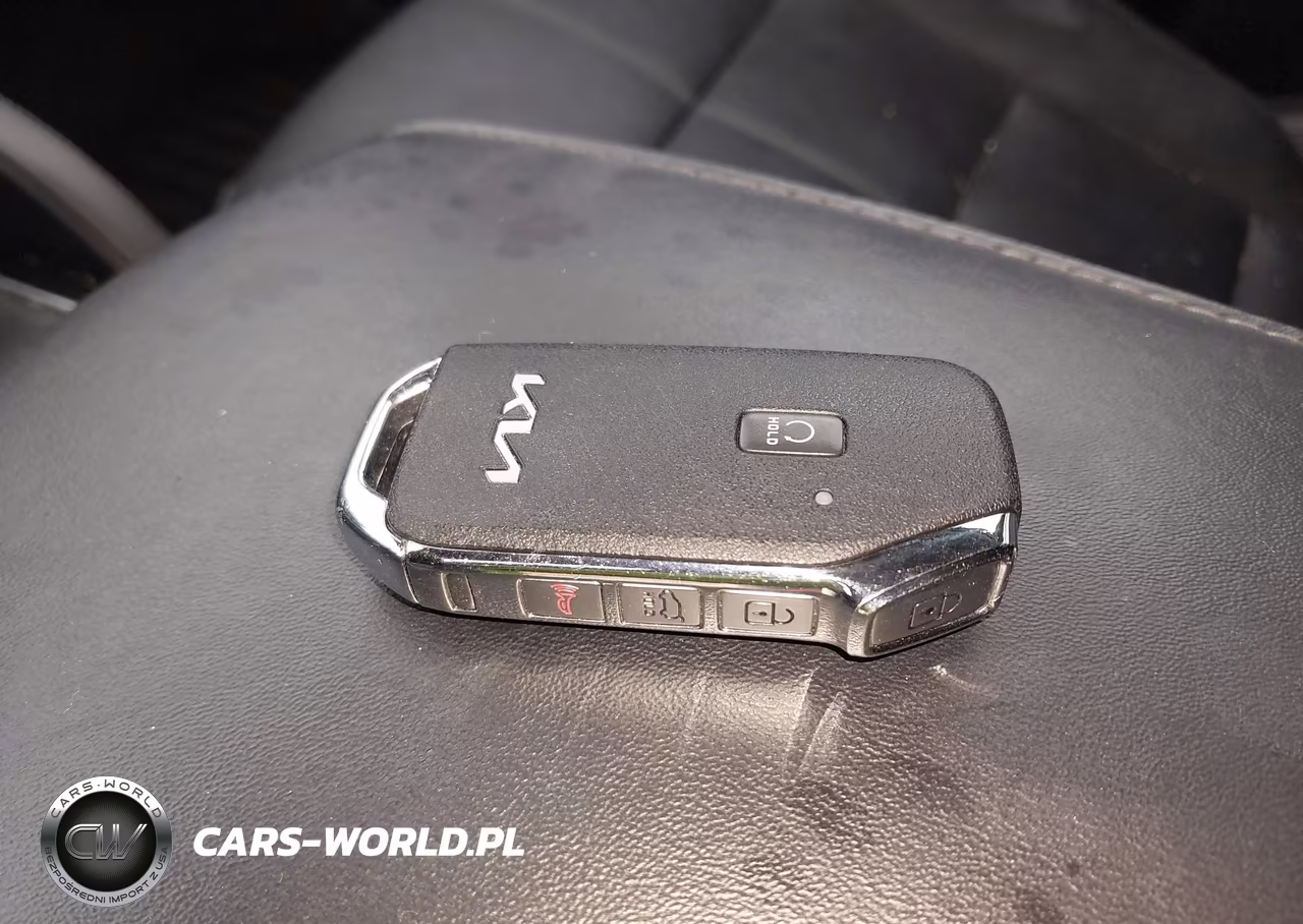 2022 Kia Telluride Ex VIN:5XYP34HC4NG254551 - 11