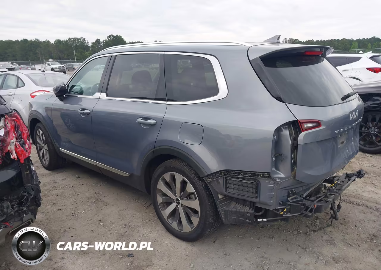 2022 Kia Telluride Ex VIN:5XYP34HC4NG254551 - 14