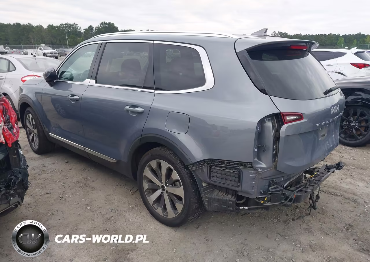 2022 Kia Telluride Ex VIN:5XYP34HC4NG254551 - 3
