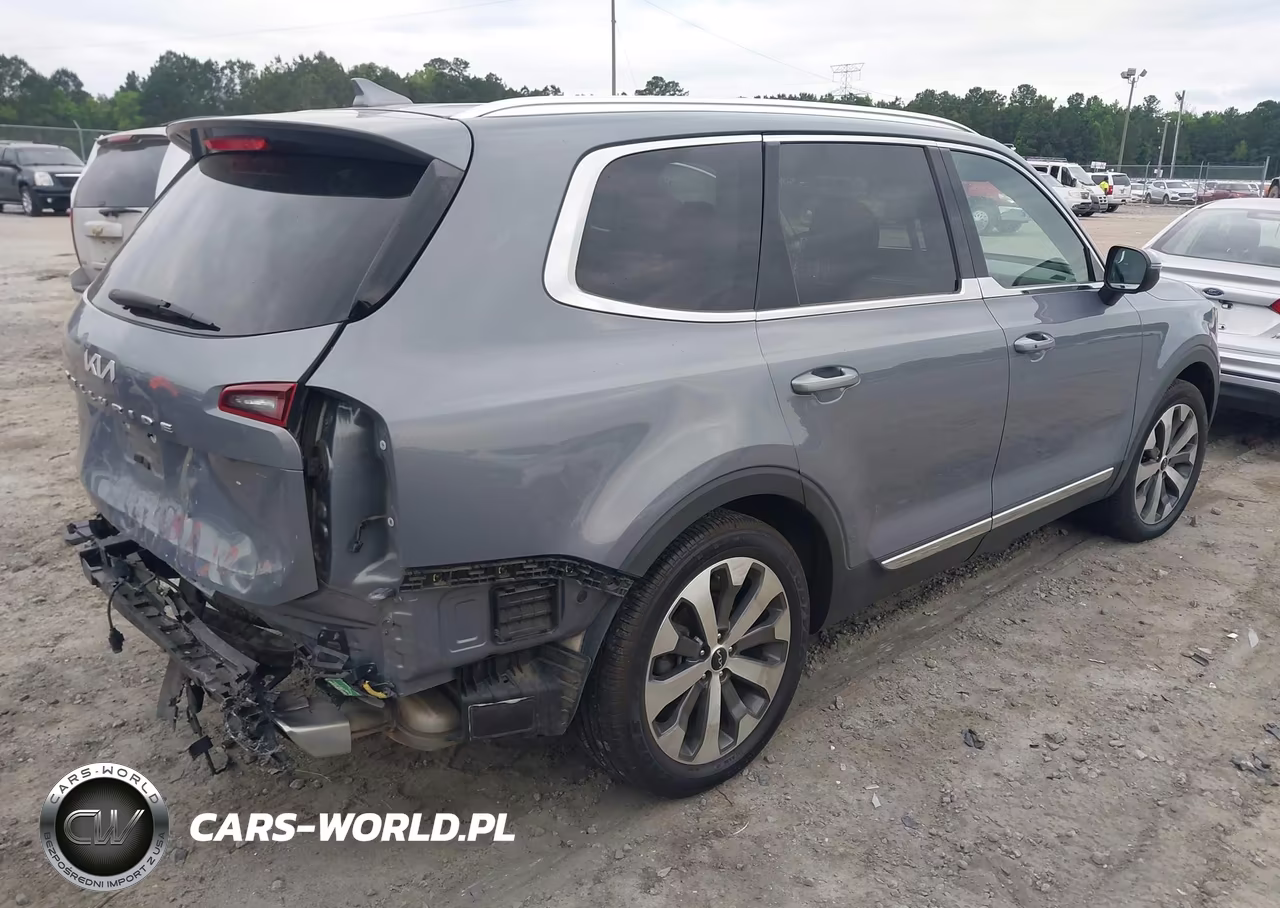 2022 Kia Telluride Ex VIN:5XYP34HC4NG254551 - 4