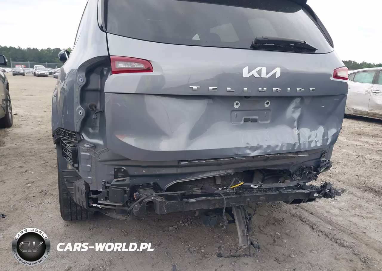 2022 Kia Telluride Ex VIN:5XYP34HC4NG254551 - 6