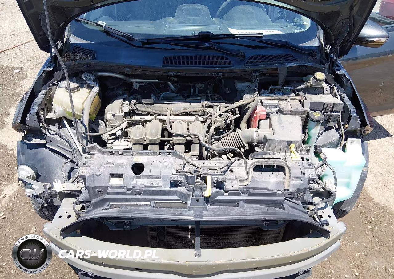 2015 Ford Fiesta Se VIN:3FADP4BJ5FM213466 - 10