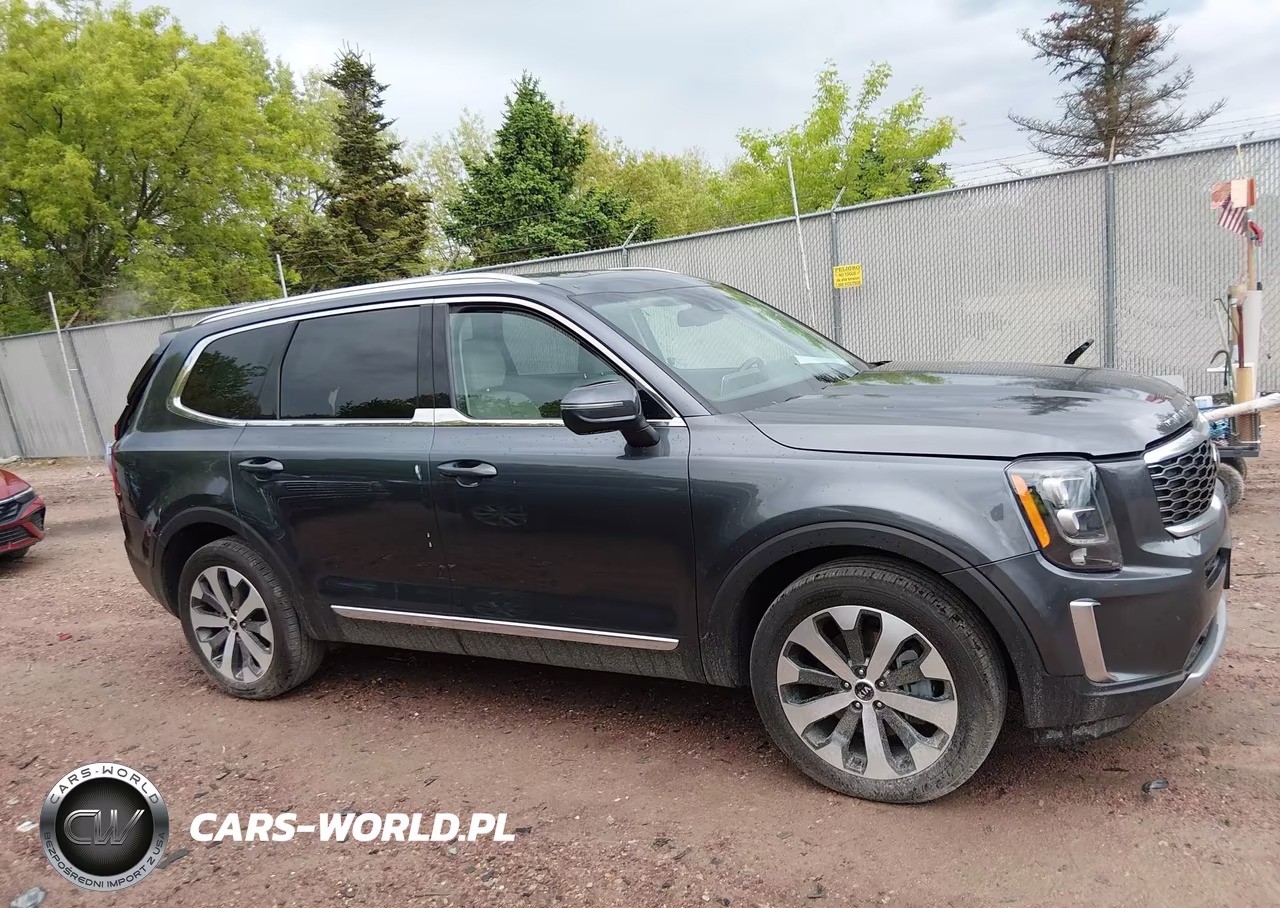 2021 Kia Telluride Ex VIN:5XYP3DHC7MG132829 - 13