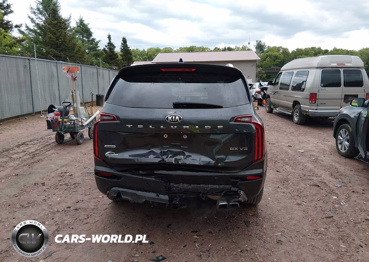 2021 Kia Telluride Ex VIN:5XYP3DHC7MG132829 - 16