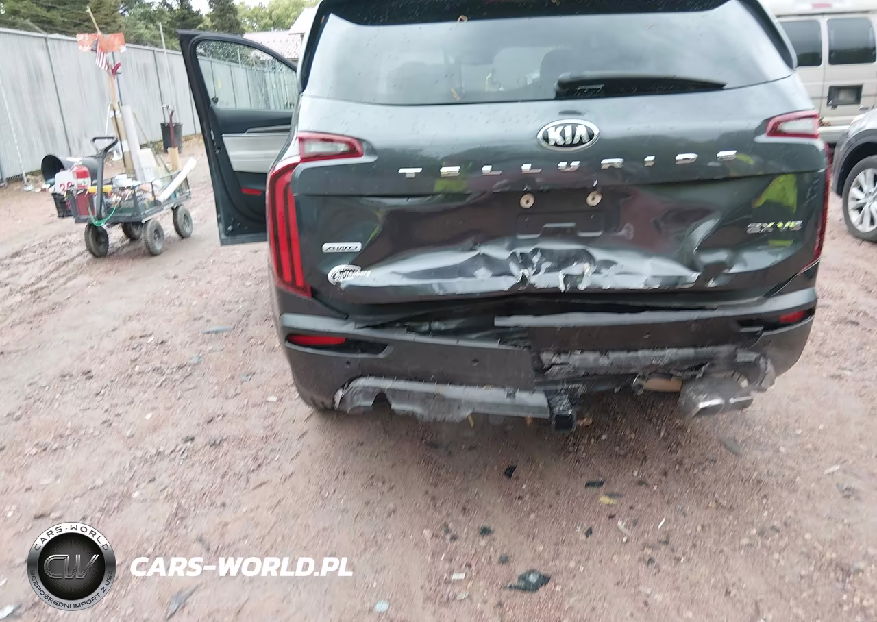 2021 Kia Telluride Ex VIN:5XYP3DHC7MG132829 - 17