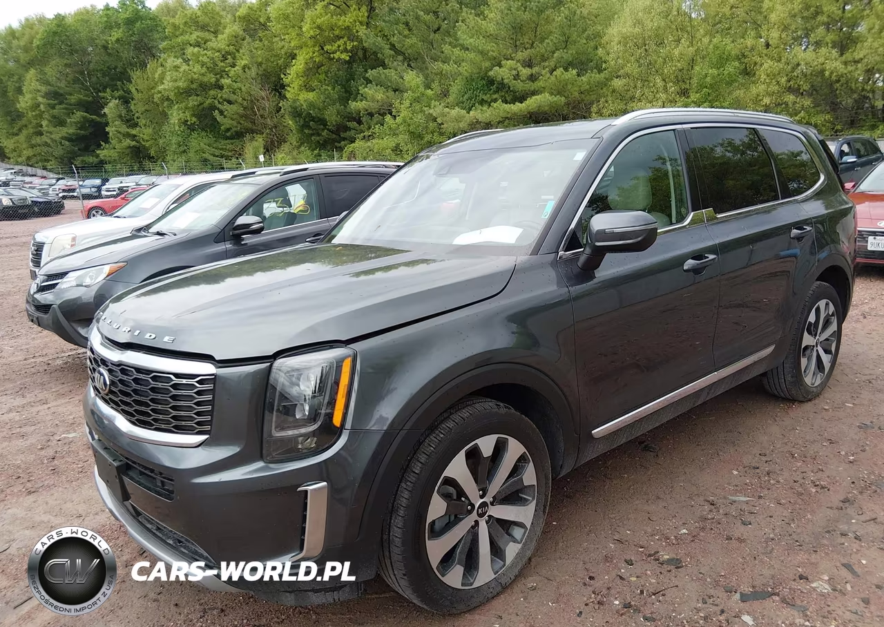2021 Kia Telluride Ex VIN:5XYP3DHC7MG132829 - 2