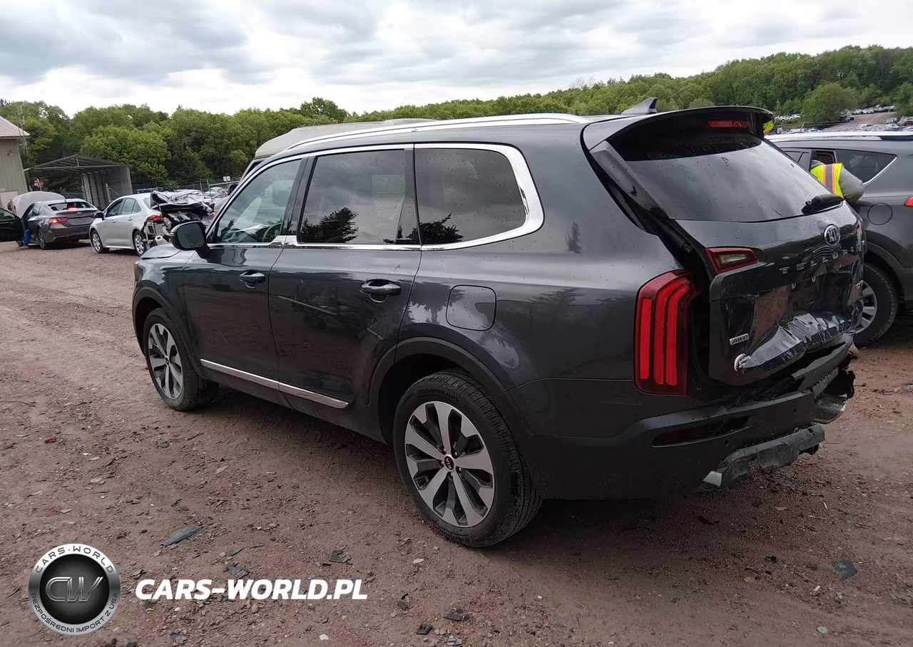 2021 Kia Telluride Ex VIN:5XYP3DHC7MG132829 - 3