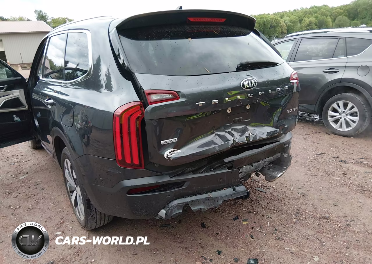 2021 Kia Telluride Ex VIN:5XYP3DHC7MG132829 - 6