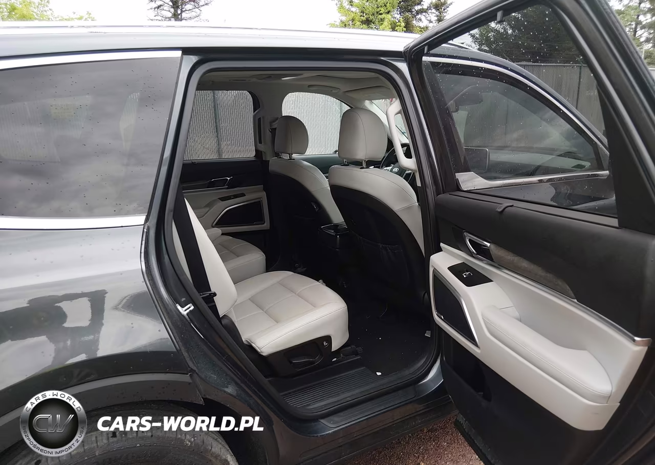 2021 Kia Telluride Ex VIN:5XYP3DHC7MG132829 - 8