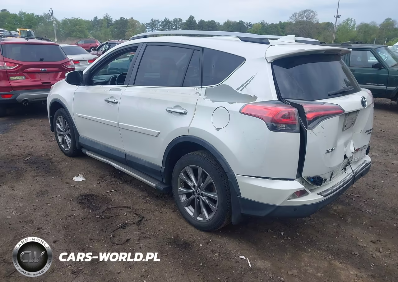 2017 Toyota Rav4 Limited VIN:2T3DFREV0HW562657 - 3