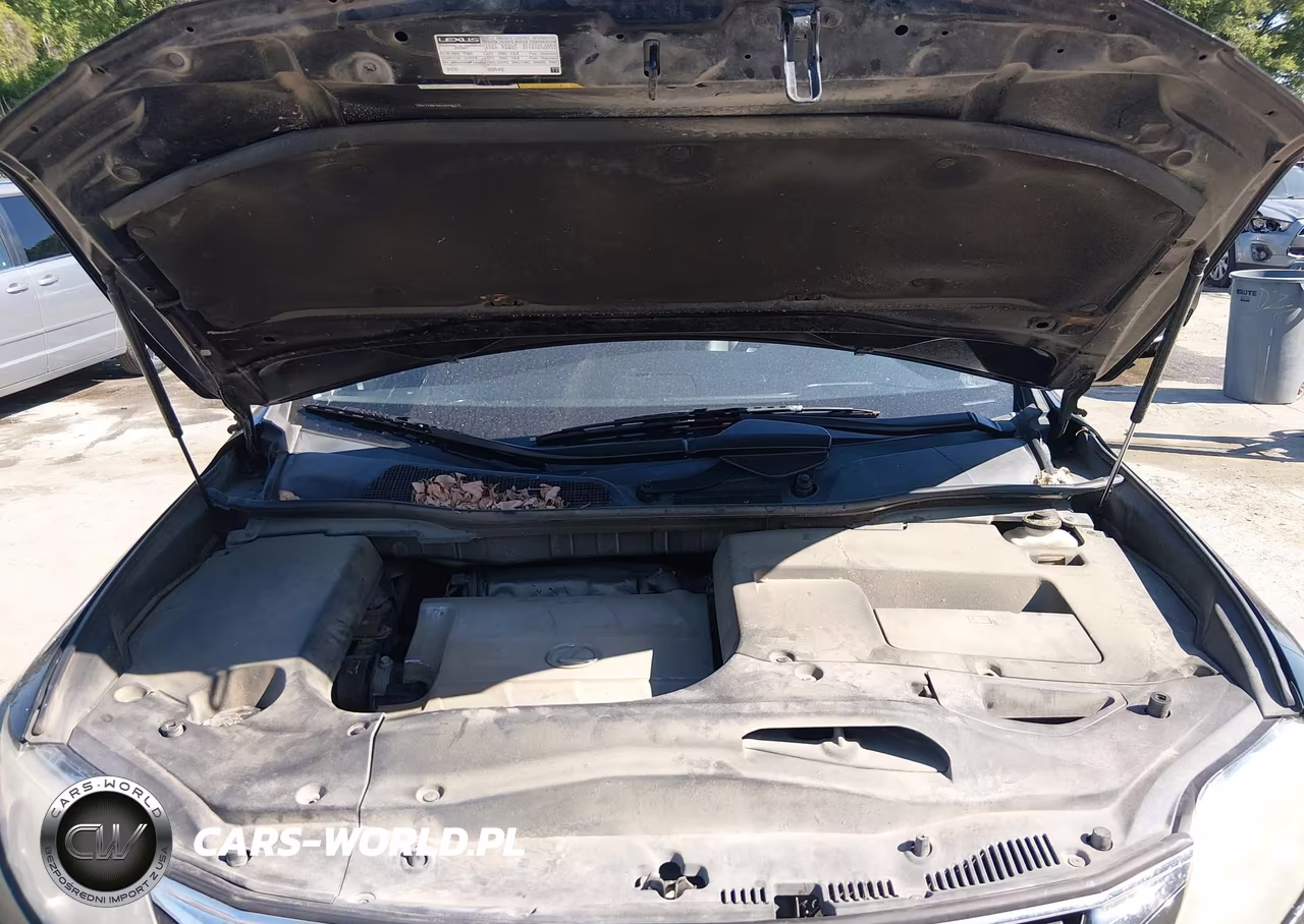 2010 Lexus Rx 350 VIN:2T2BK1BA4AC058372 - 10