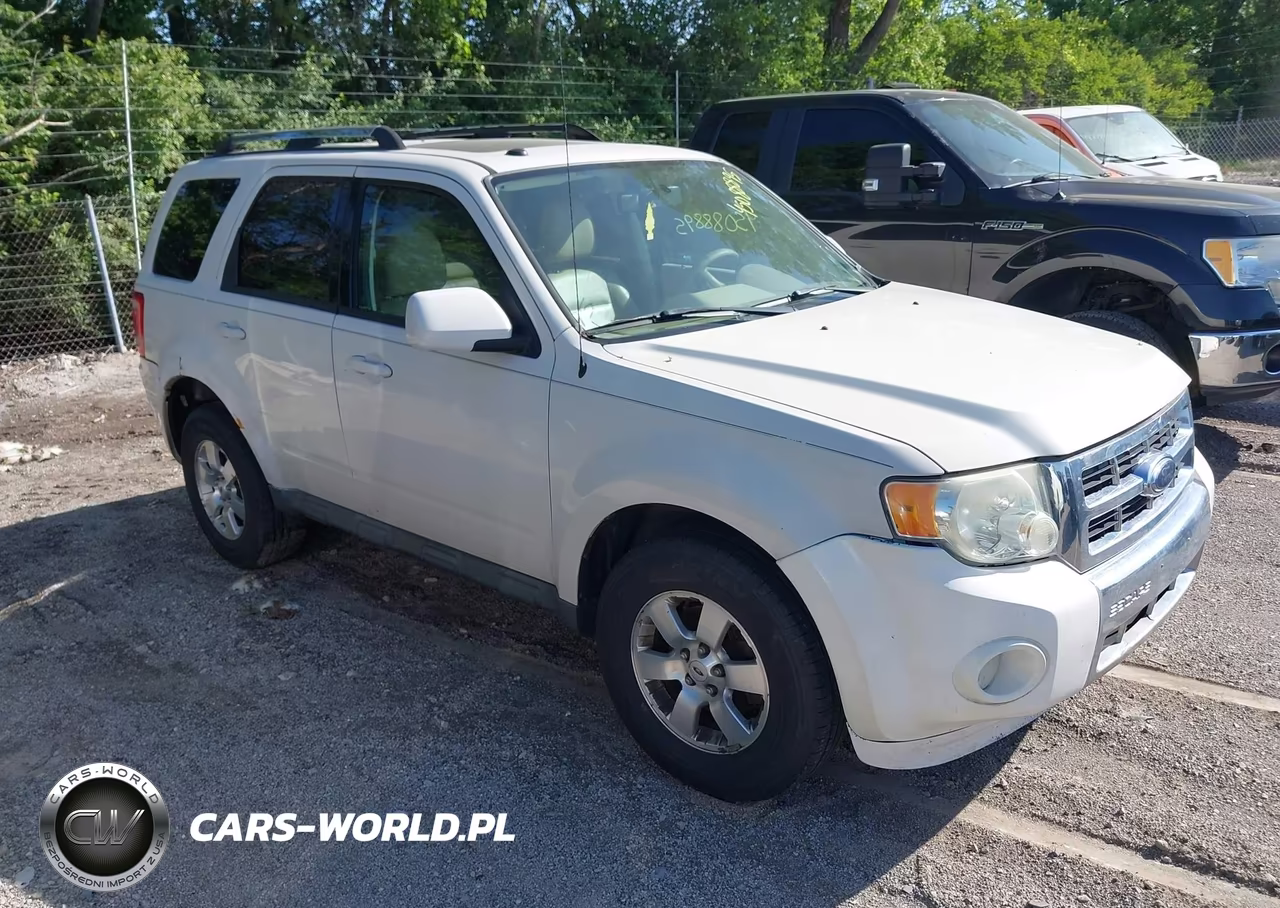 Główne zdjęcie 2009 Ford Escape Limited