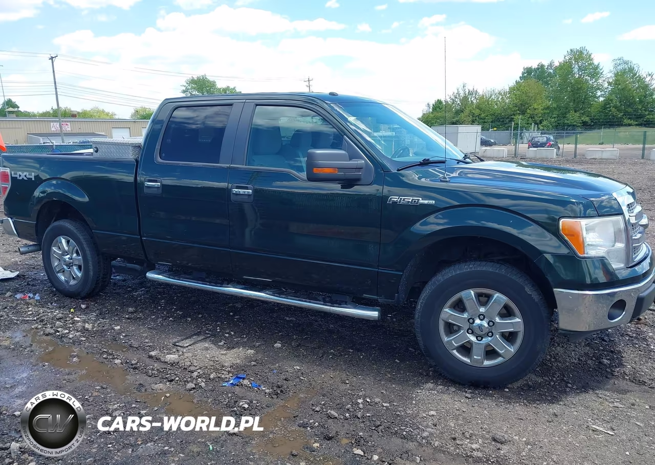 2013 Ford F-150 Xlt VIN:1FTFW1EF4DKG05015 - 13