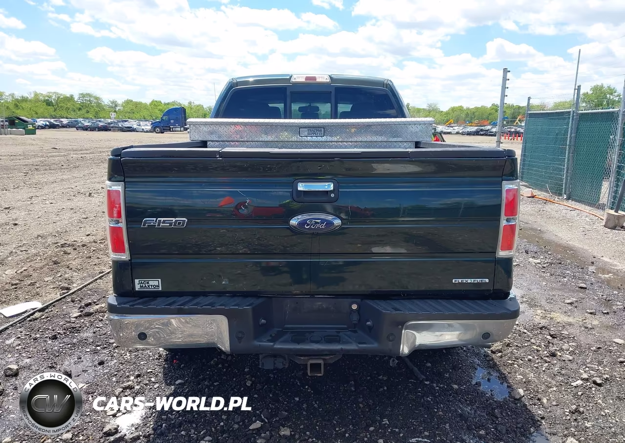 2013 Ford F-150 Xlt VIN:1FTFW1EF4DKG05015 - 16