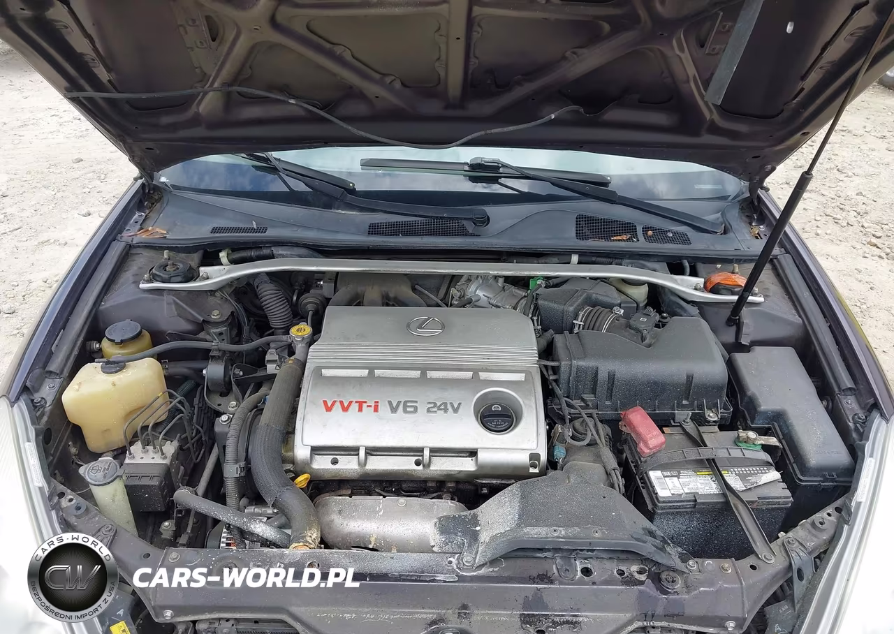 2002 Lexus Es 300 VIN:JTHBF30G420068096 - 10