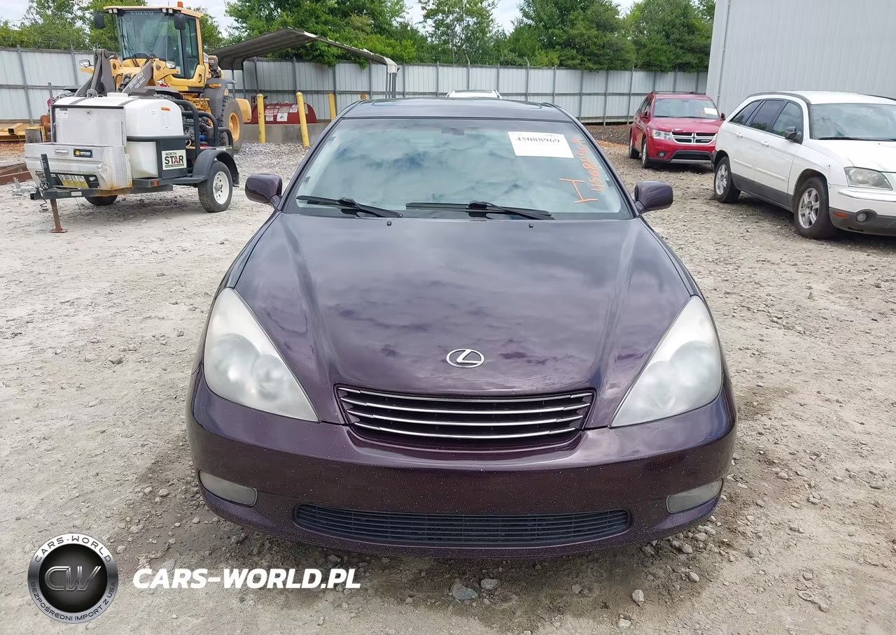 2002 Lexus Es 300 VIN:JTHBF30G420068096 - 6