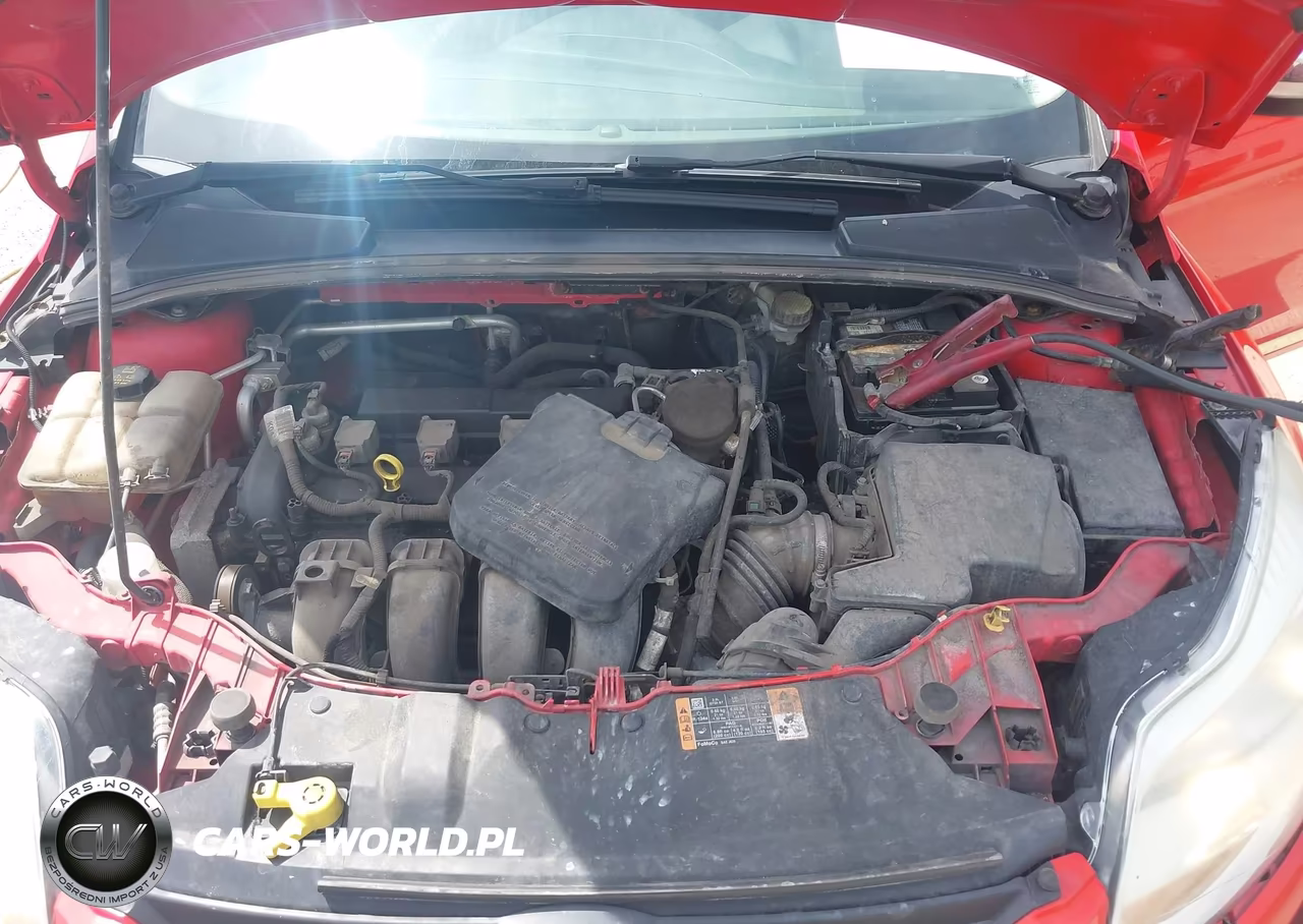 2014 Ford Focus Se VIN:1FADP3F21EL361272 - 10