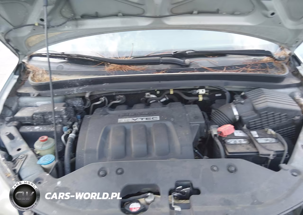 2010 Honda Odyssey Ex VIN:5FNRL3H51AB024102 - 10