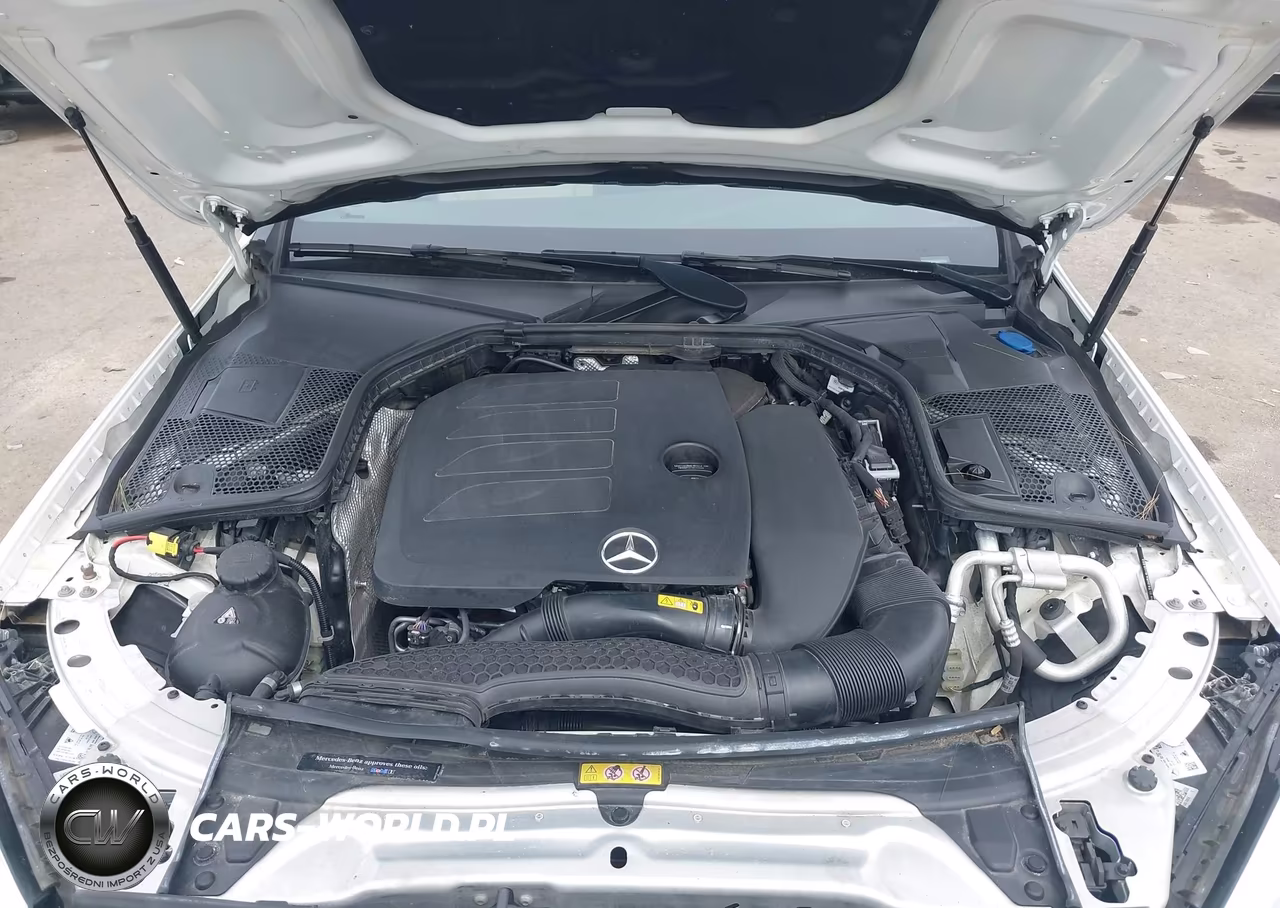 2019 Mercedes-Benz C 300 4Matic VIN:55SWF8EB1KU305916 - 10