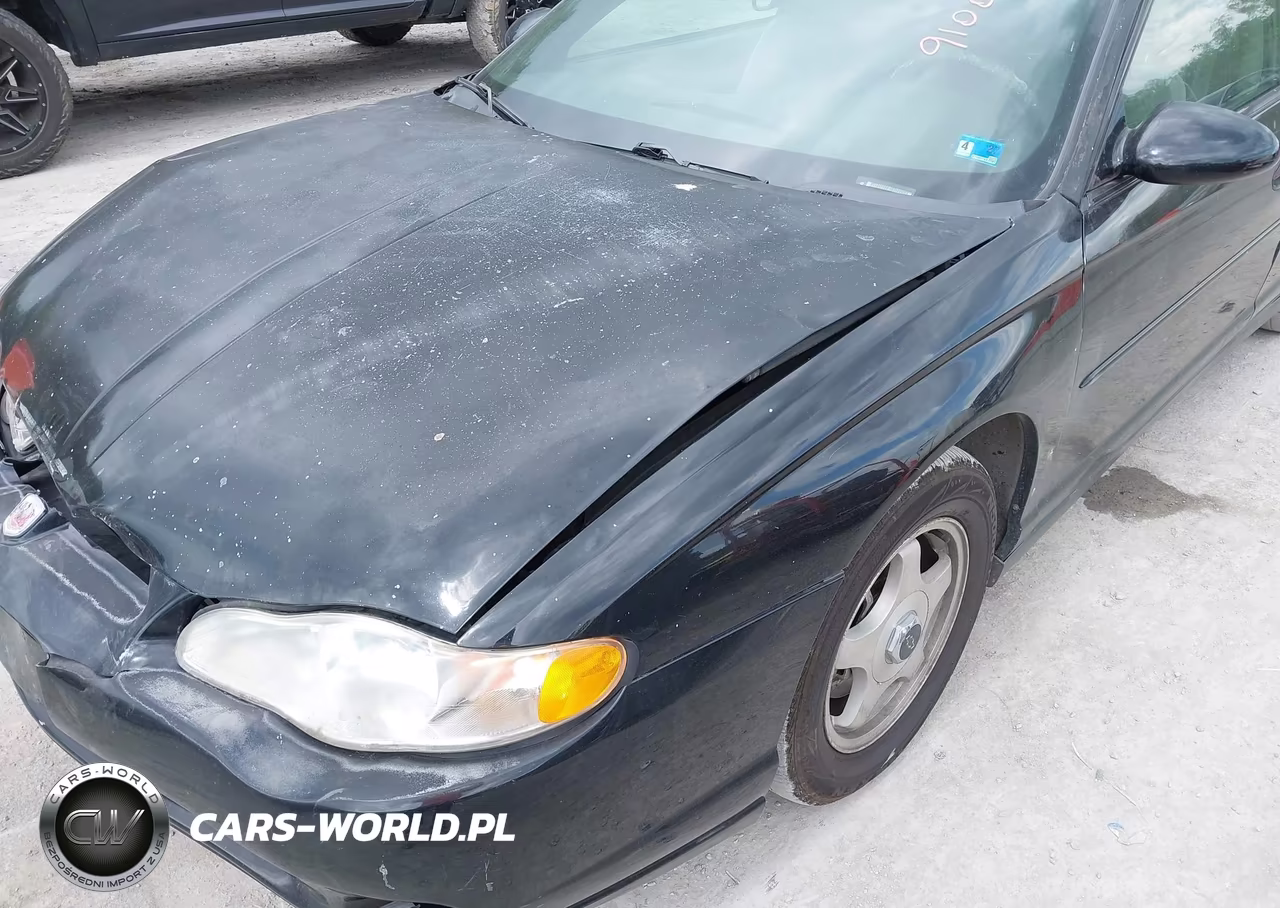 2004 Chevrolet Monte Carlo Ls VIN:2G1WW12E449270666 - 17