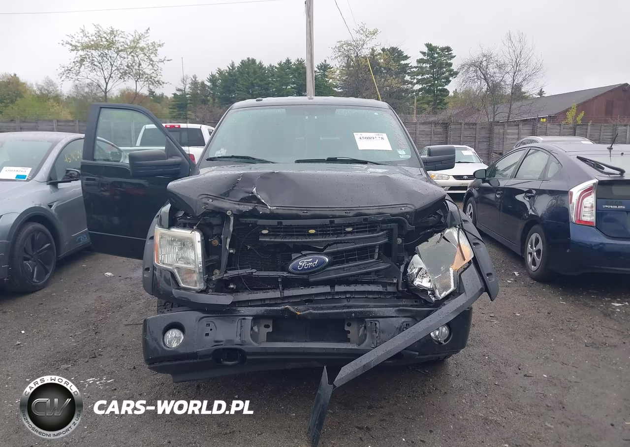 2014 Ford F-150 Stx VIN:1FTFX1EF9EFA25265 - 12