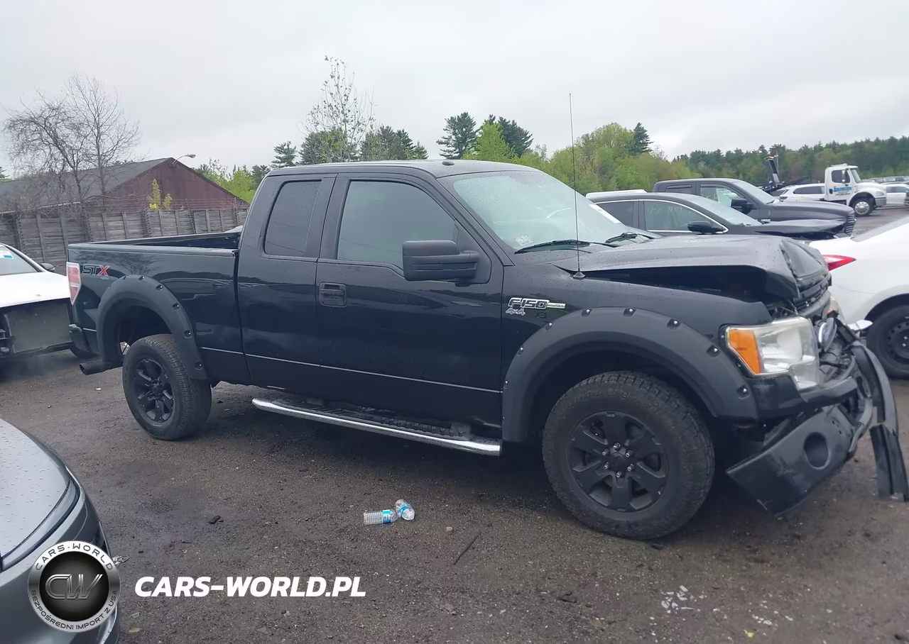 2014 Ford F-150 Stx VIN:1FTFX1EF9EFA25265 - 13