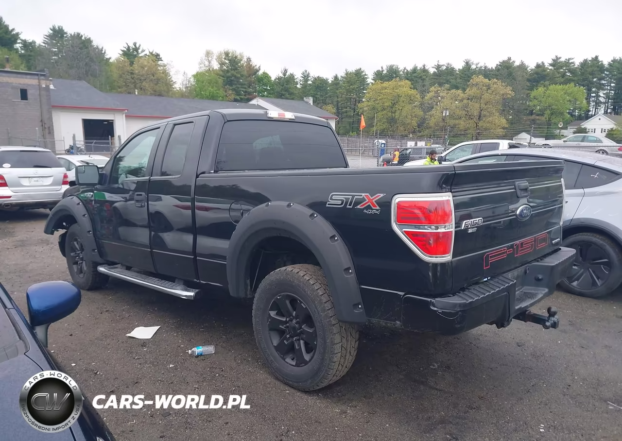 2014 Ford F-150 Stx VIN:1FTFX1EF9EFA25265 - 14