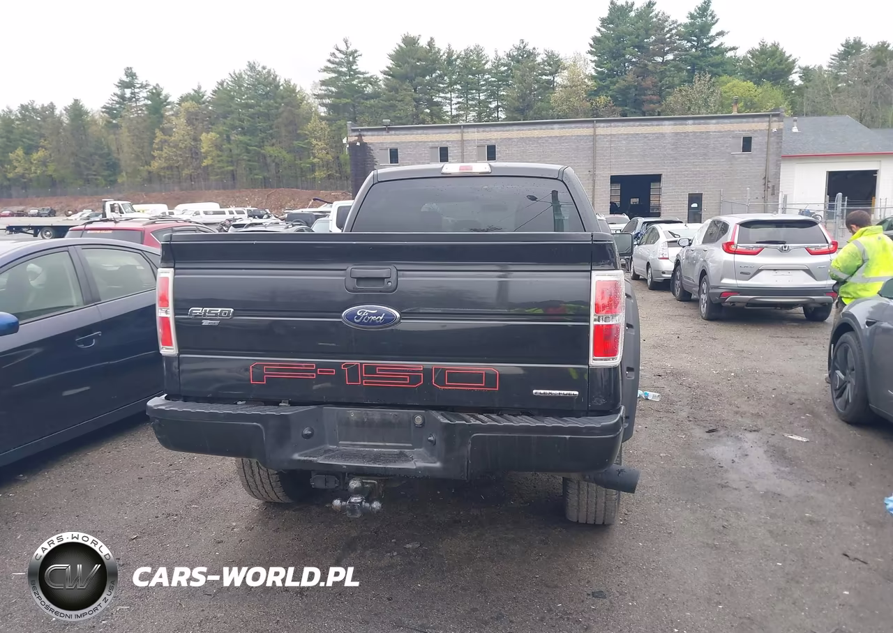 2014 Ford F-150 Stx VIN:1FTFX1EF9EFA25265 - 16
