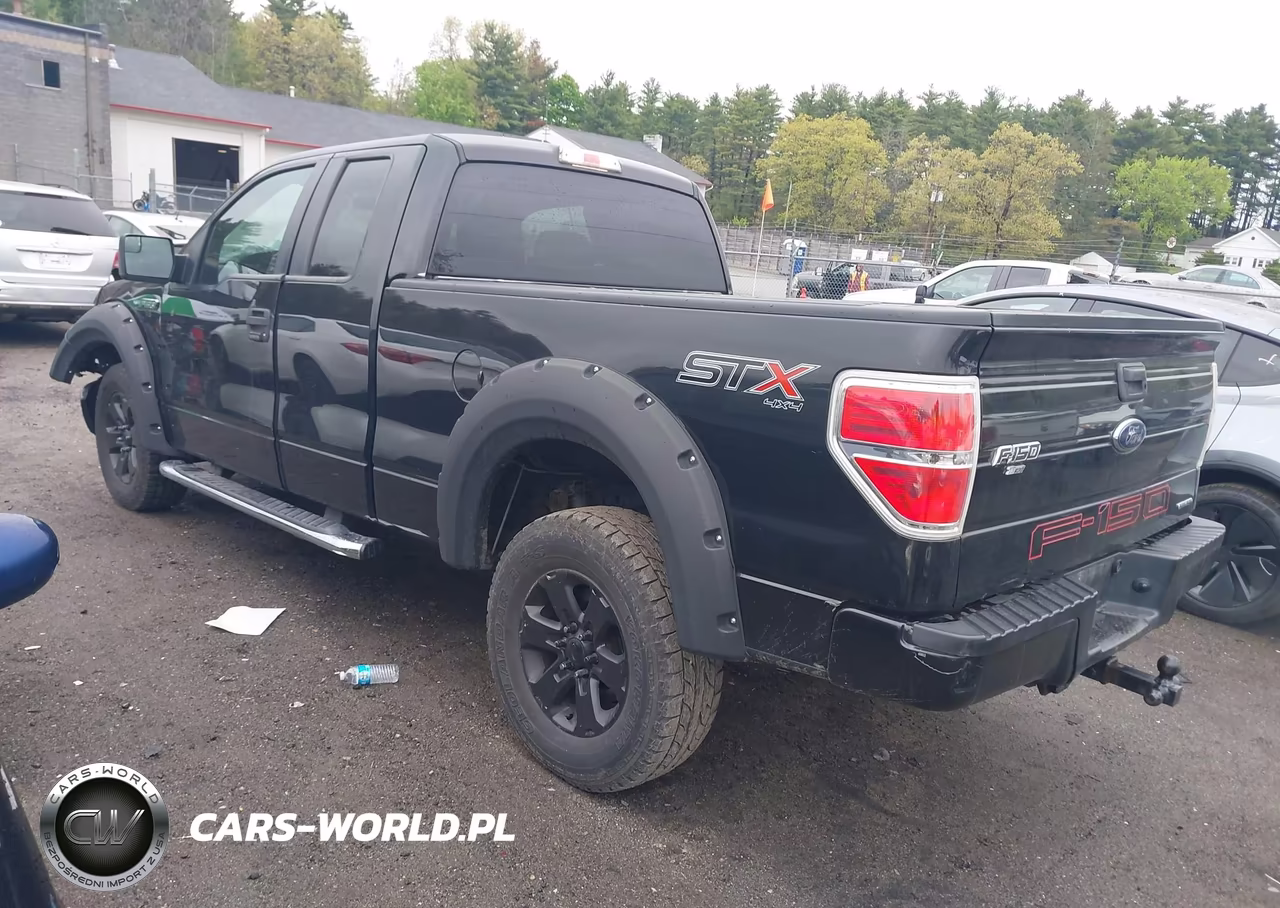 2014 Ford F-150 Stx VIN:1FTFX1EF9EFA25265 - 3