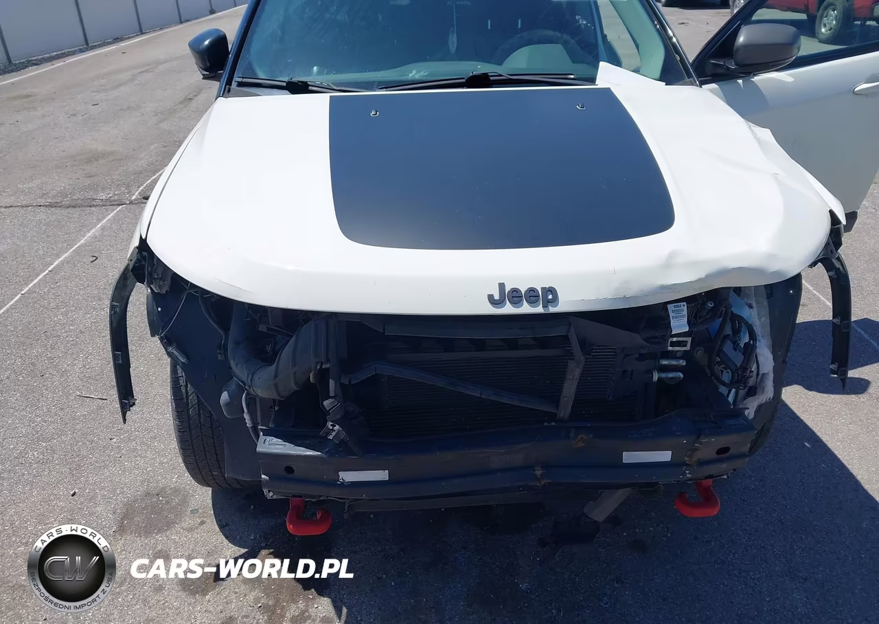 2019 Jeep Compass Trailhawk 4X4 VIN:3C4NJDDBXKT619300 - 6