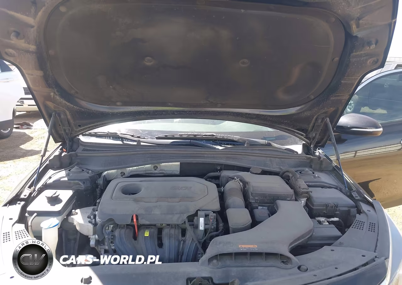 2016 Kia Optima Lx VIN:KNAGT4L34G5110885 - 10