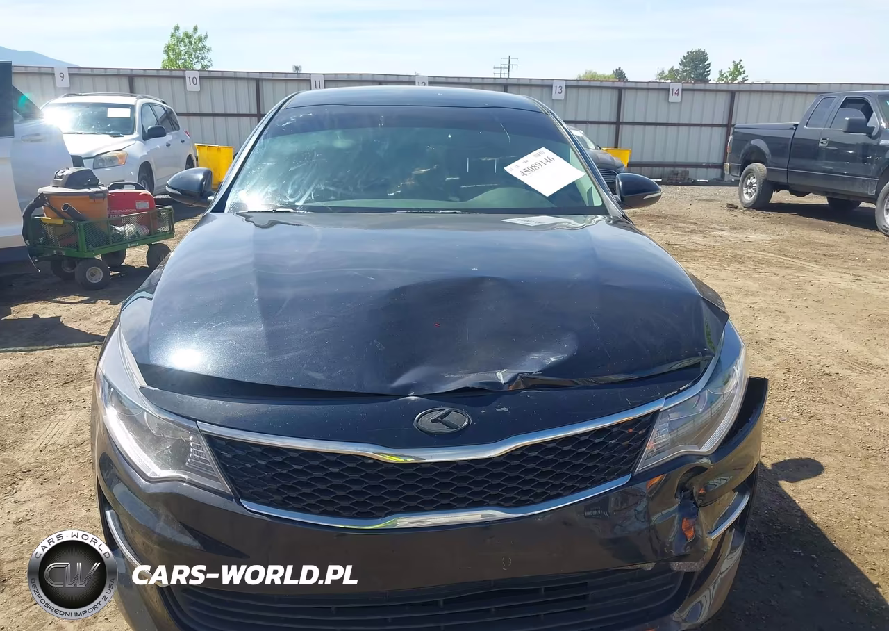 2016 Kia Optima Lx VIN:KNAGT4L34G5110885 - 12