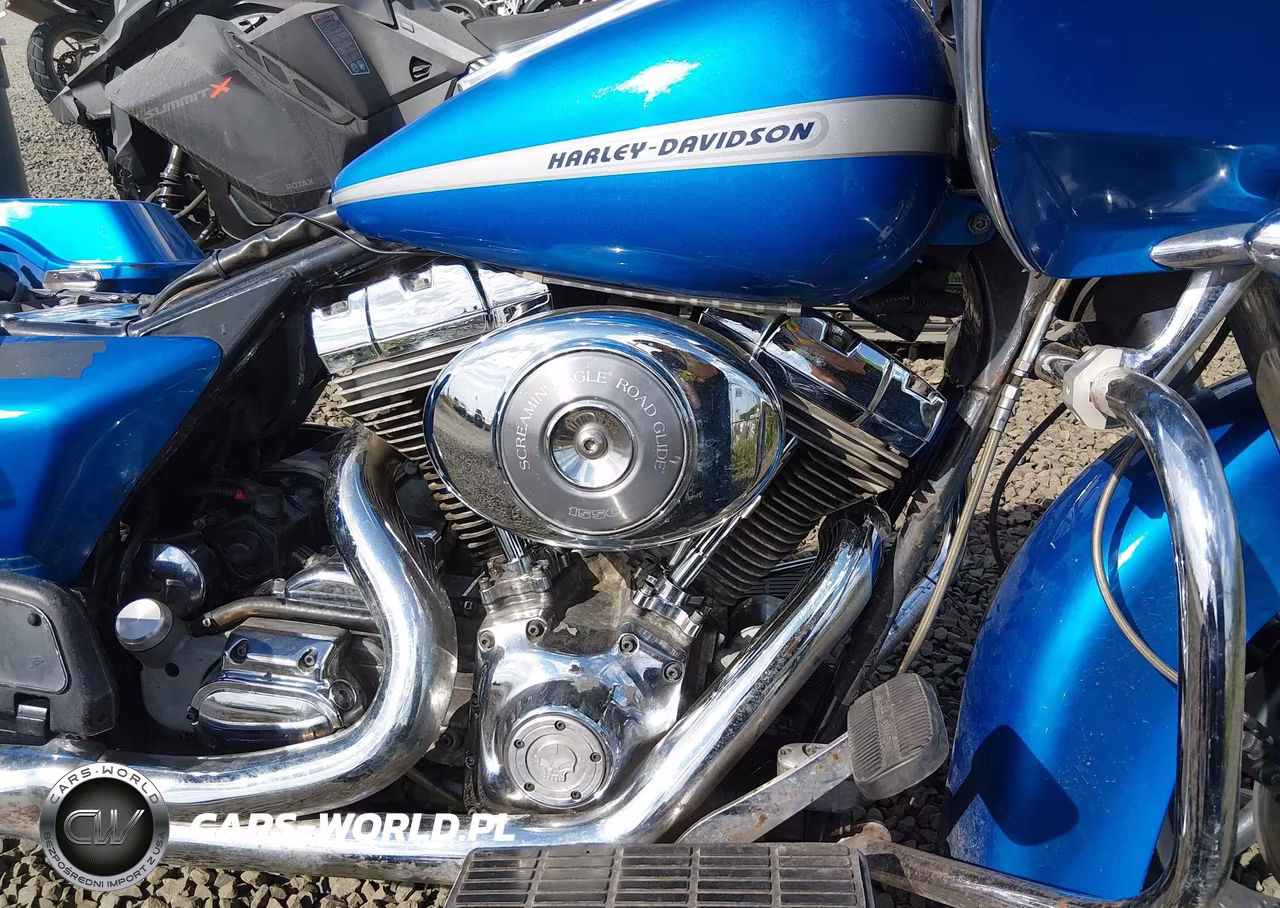 2004 Harley-Davidson Fltri VIN:1HD1FSW144Y610102 - 8