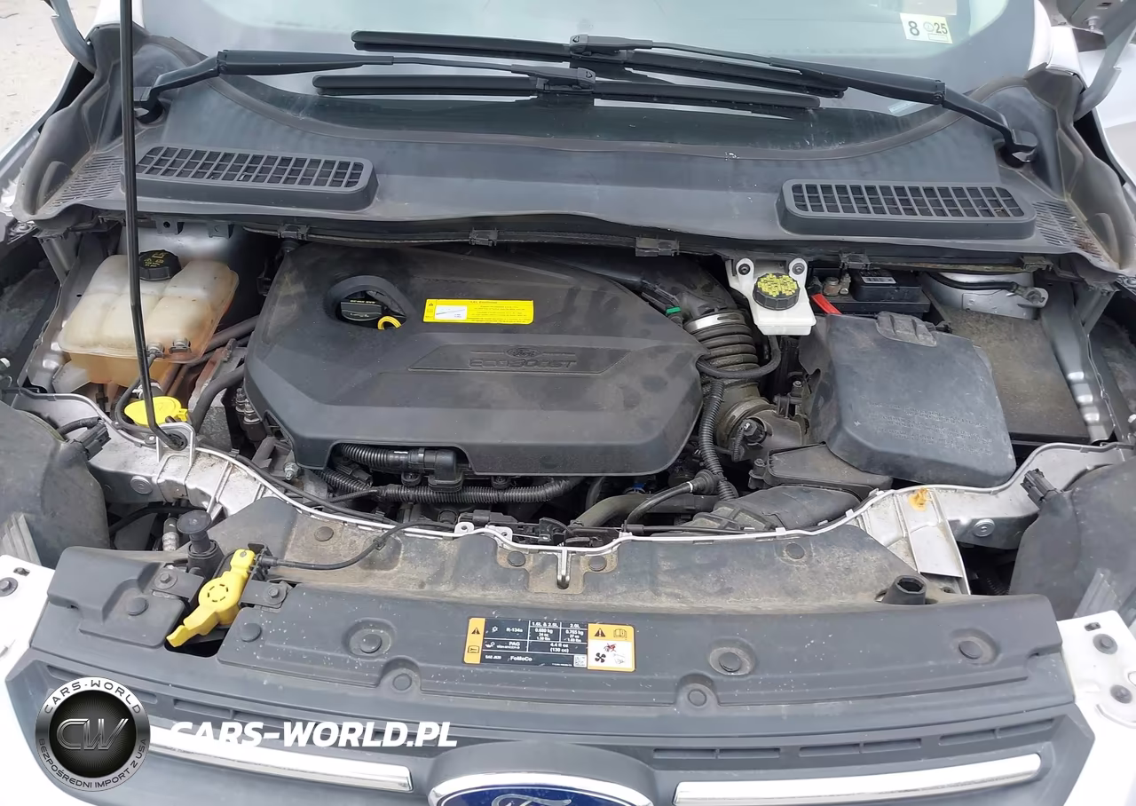 2015 Ford Escape Se VIN:1FMCU9GX3FUB17948 - 10