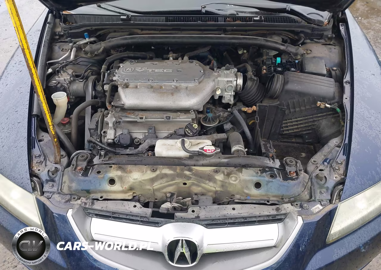 2006 Acura Tl VIN:19UUA66256A004446 - 10