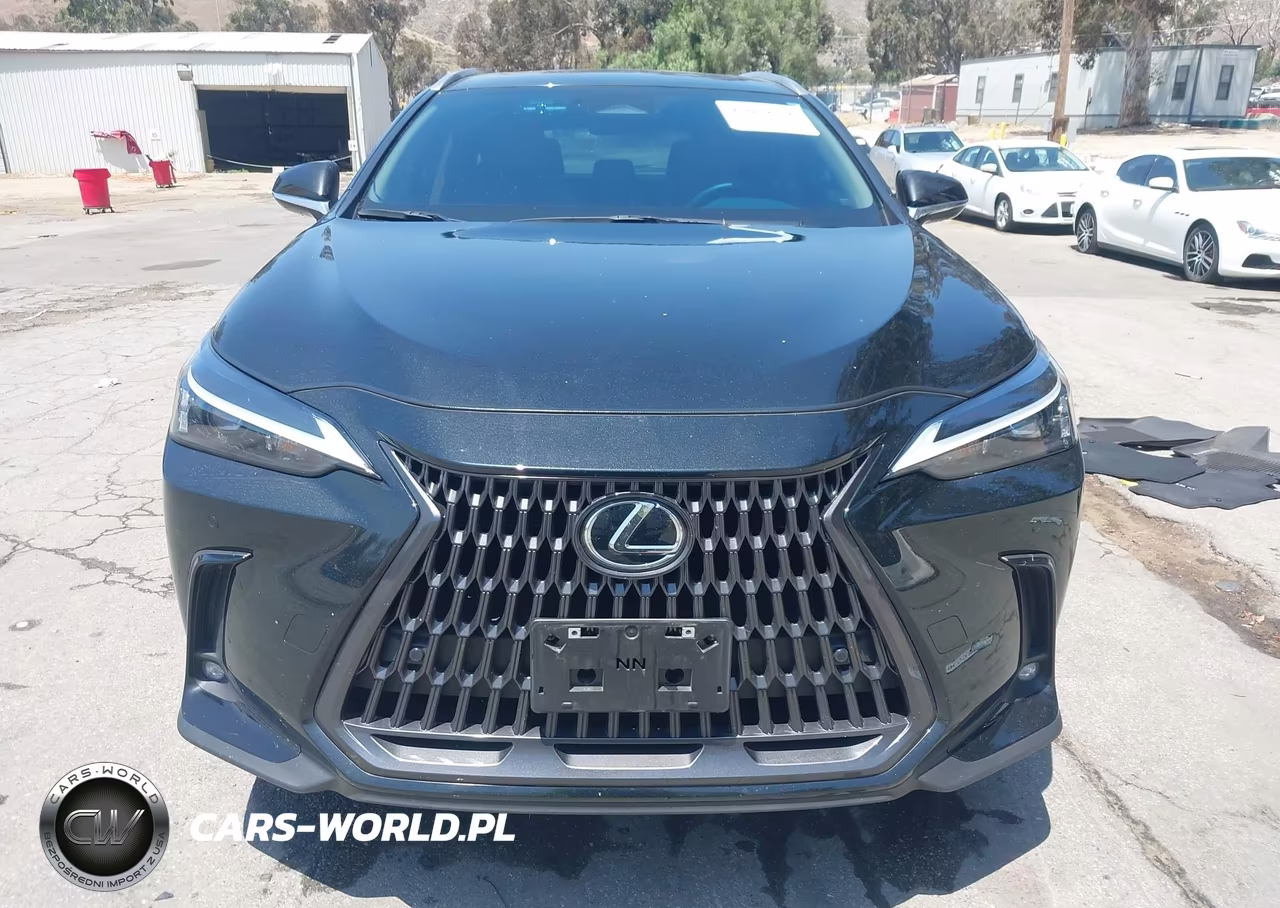 2025 Lexus Nx 350H VIN:JTJAKCEZXS2065532 - 12