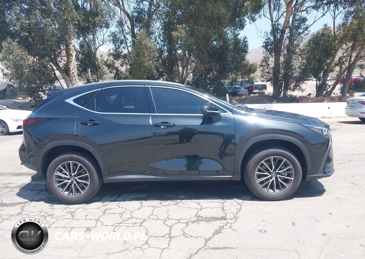 2025 Lexus Nx 350H VIN:JTJAKCEZXS2065532 - 13