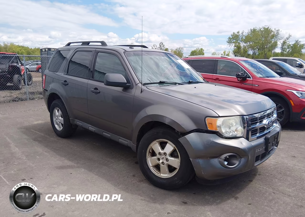 2010 Ford Escape Xlt